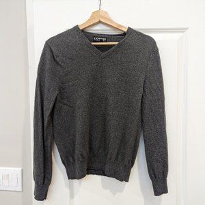 Express Italian Merino Wool V-Neck Sweater